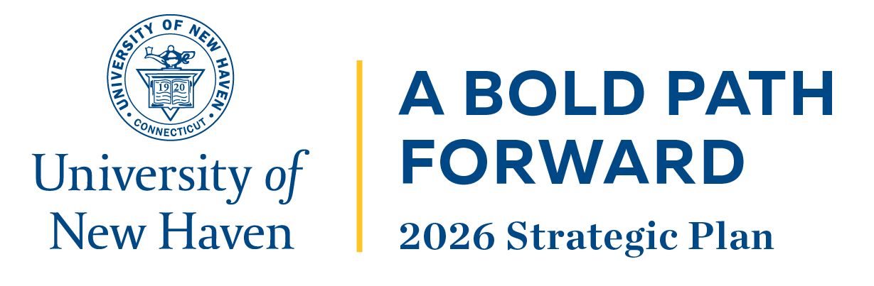 A Bold Path Forward, 2026 Strategic Plan